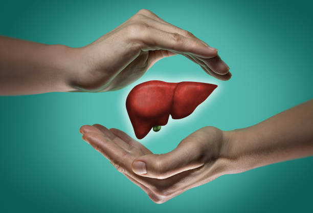 the-concept-of-a-healthy-liver